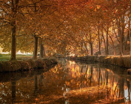 Echipa lucrând la birou într-o atmosferă relaxată