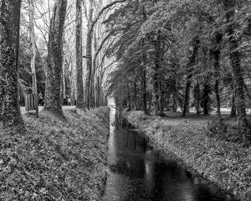 Plimbare prin parc în lumina blândă a serii